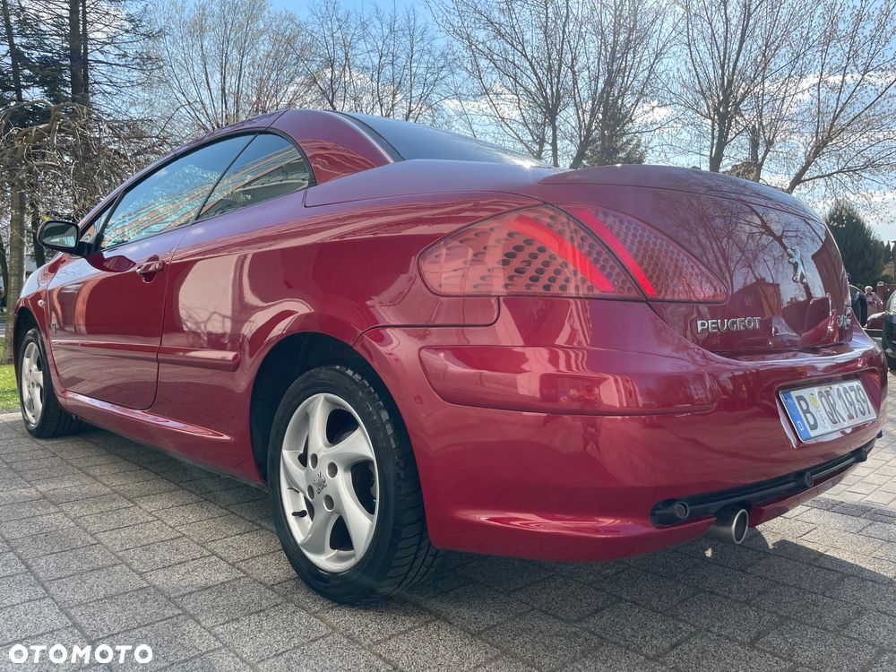 Peugeot 307 2.0 Sporty - 9