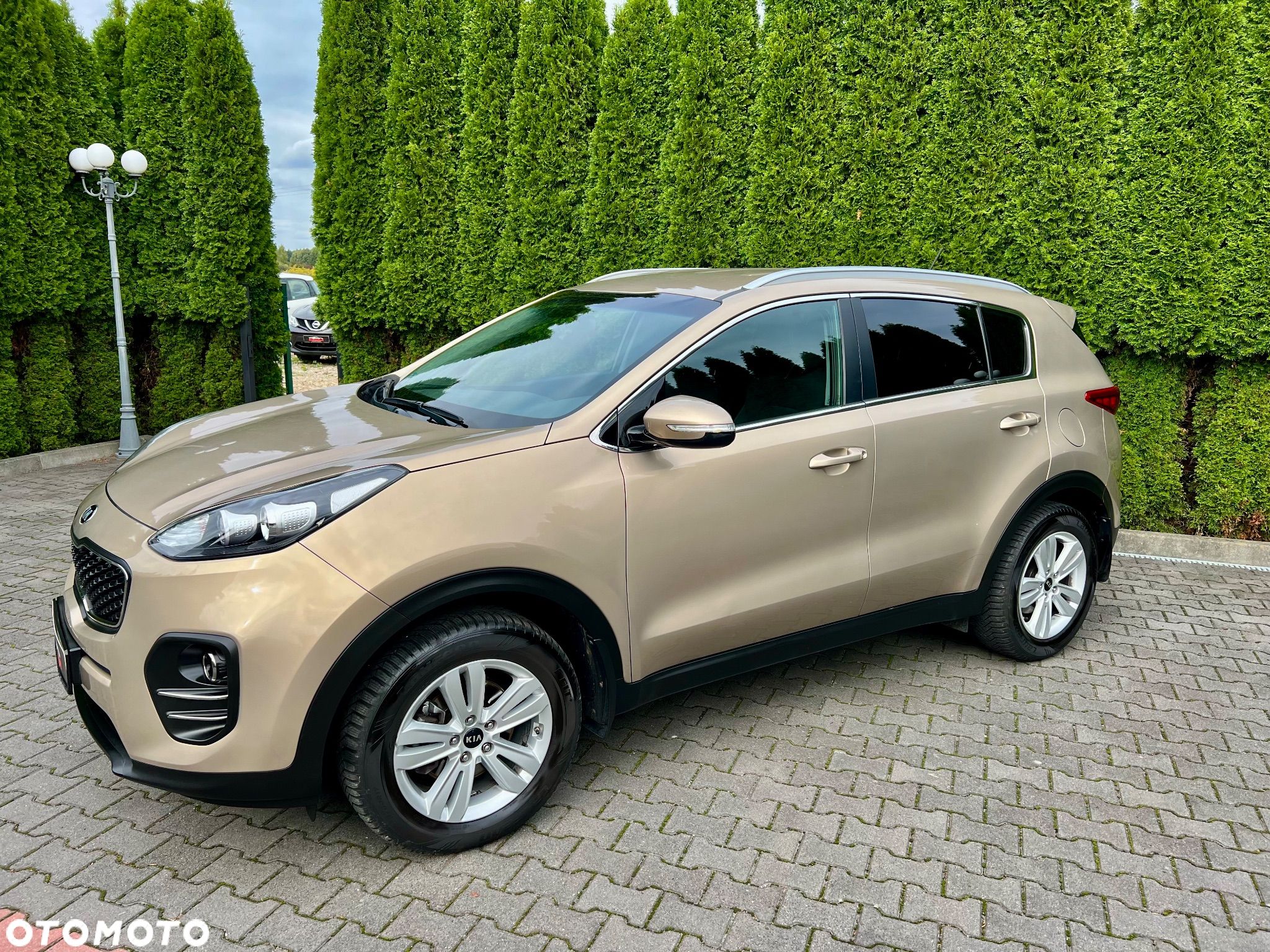 Kia Sportage 1.6 GDI M 2WD - 1
