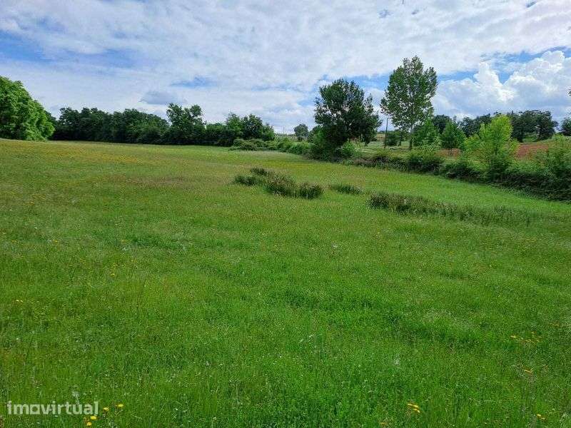 Terreno para venda em Baçal com 1,5 hectares - Bragança - Grande imagem: 2/10