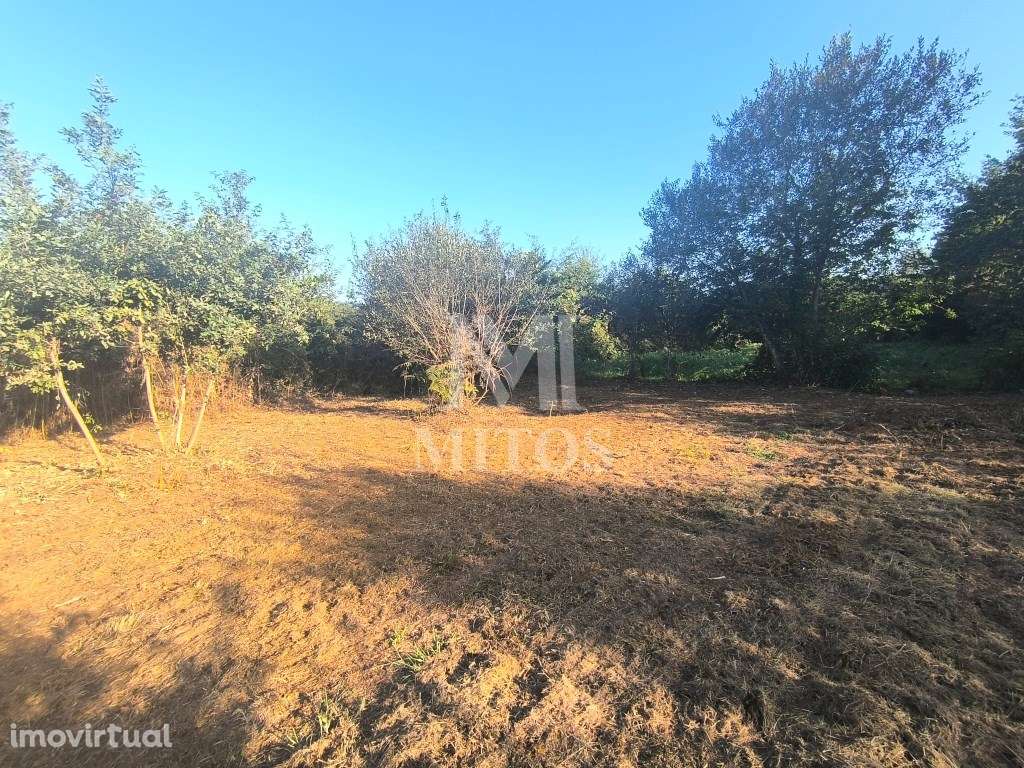 Terreno em Mujães - Grande imagem: 4/23