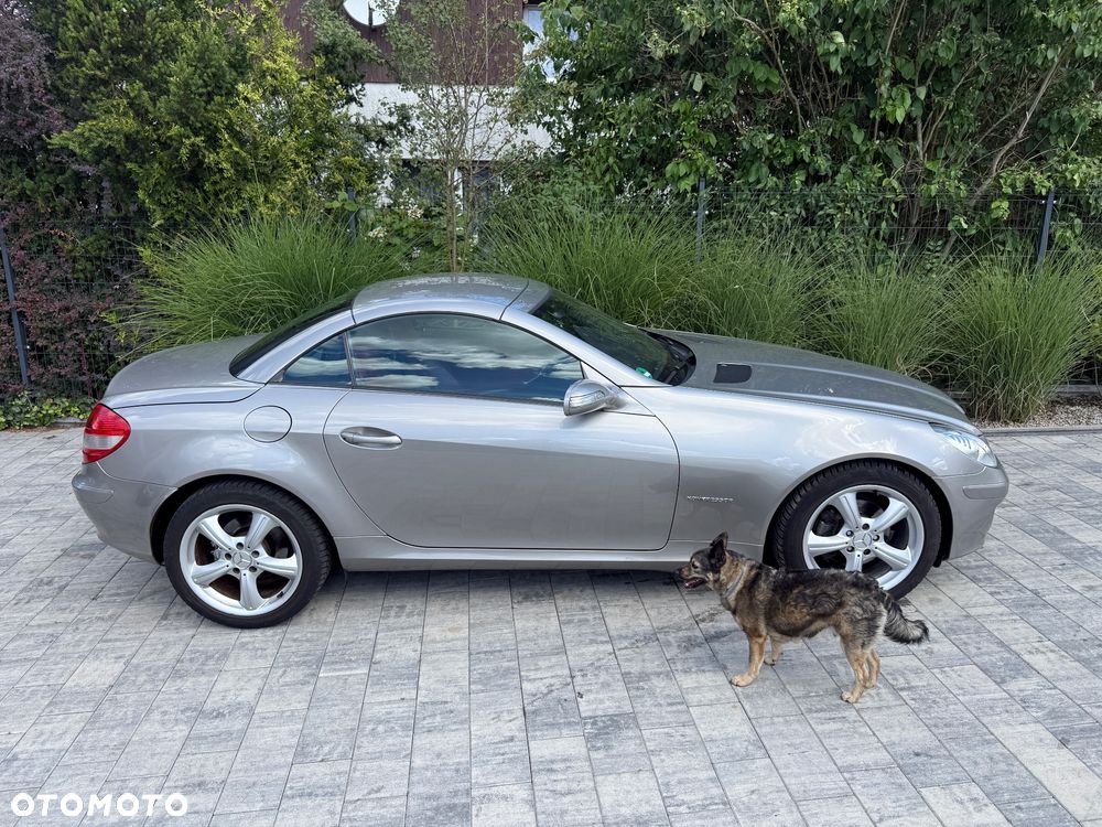 Mercedes-Benz SLK - 6