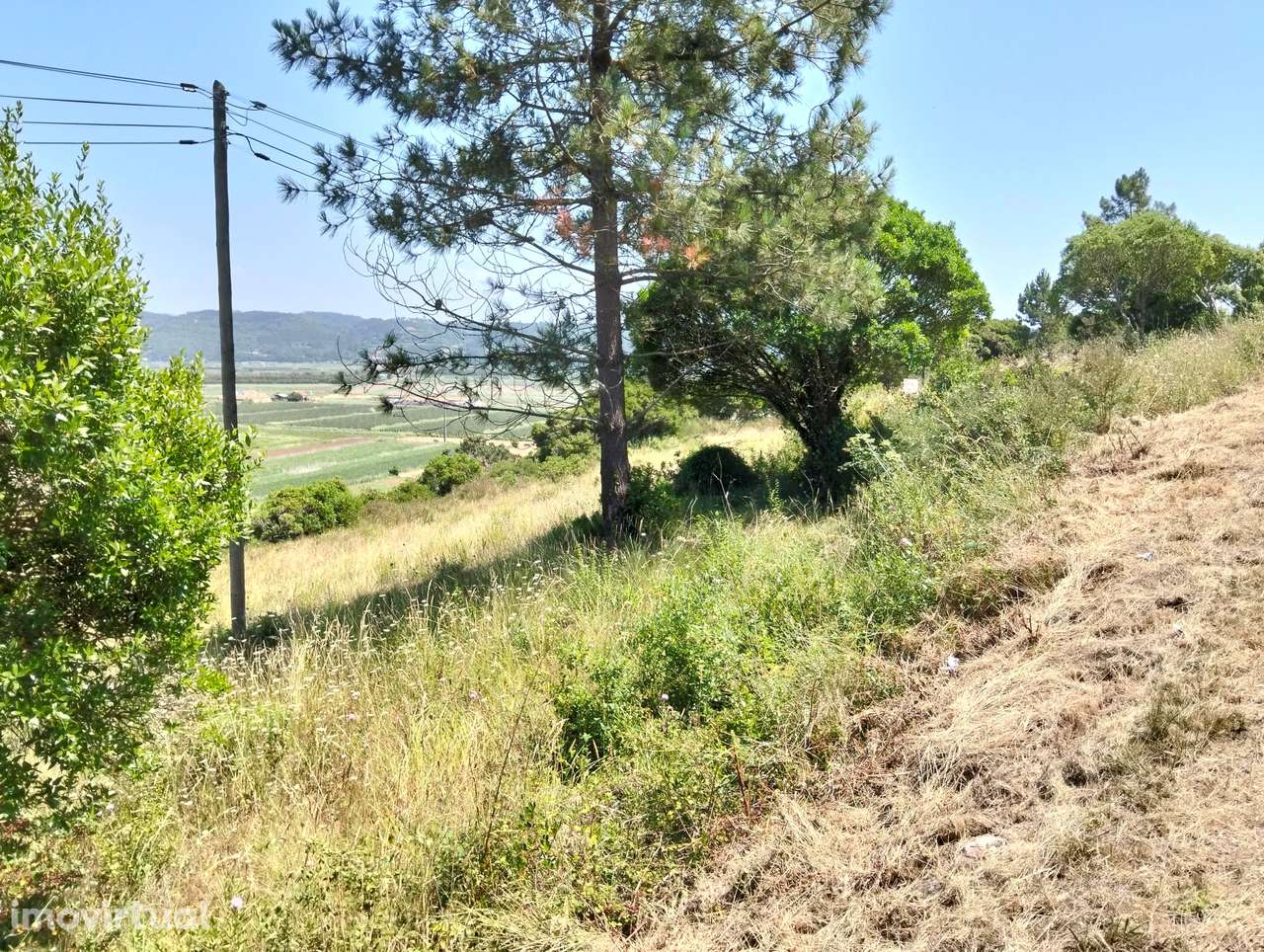 Terreno Estrada p/serra da pescaria /Praia do Salgado-Nazaré -Leiria - Grande imagem: 5/15