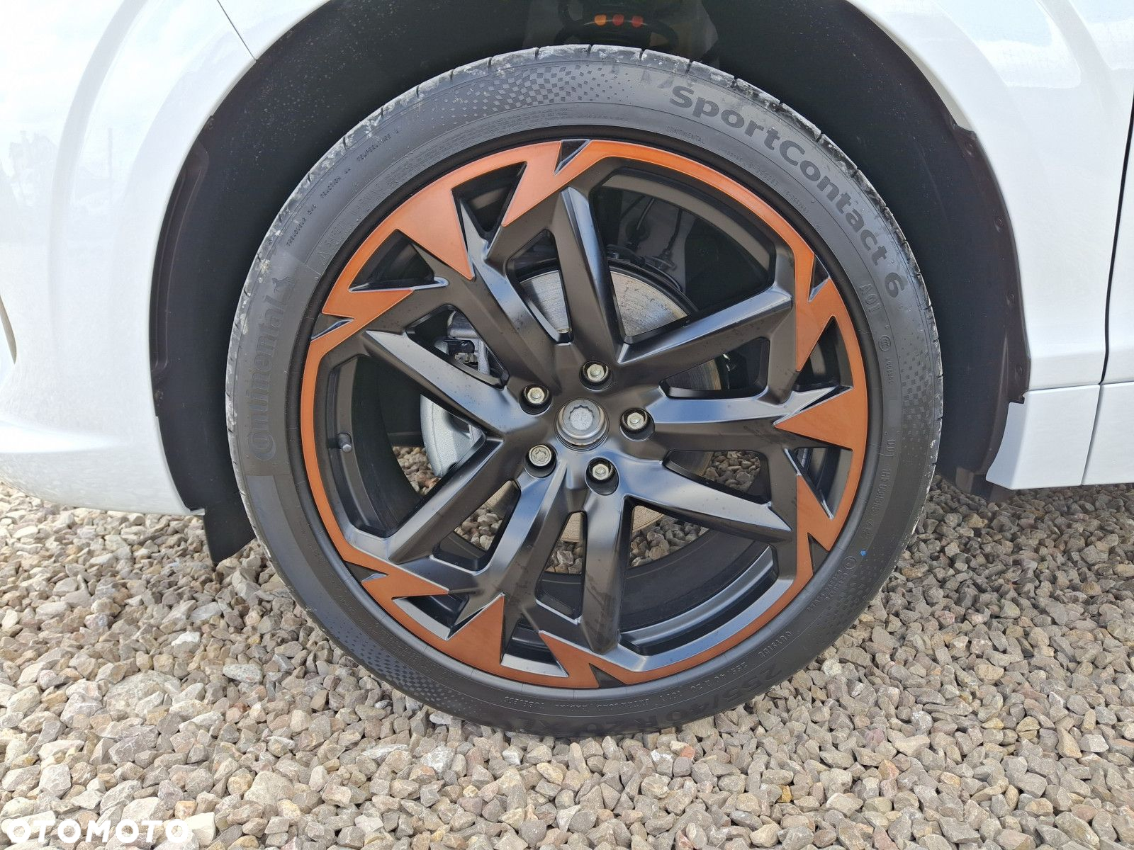 Cupra Terramar - 7