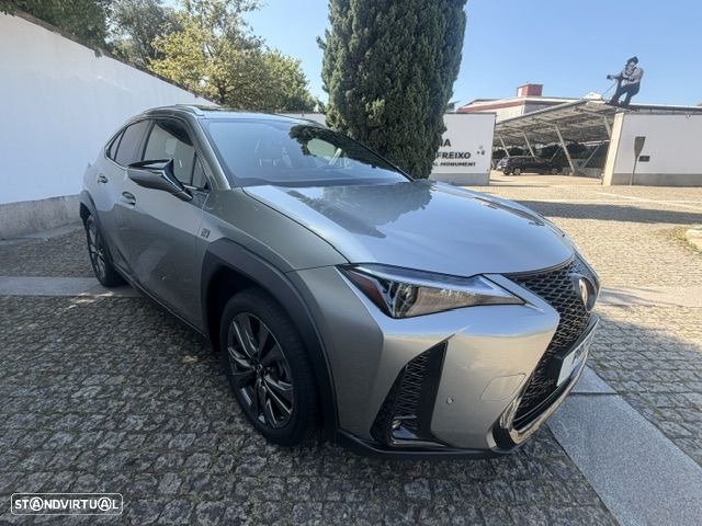 Lexus UX 250h - 31