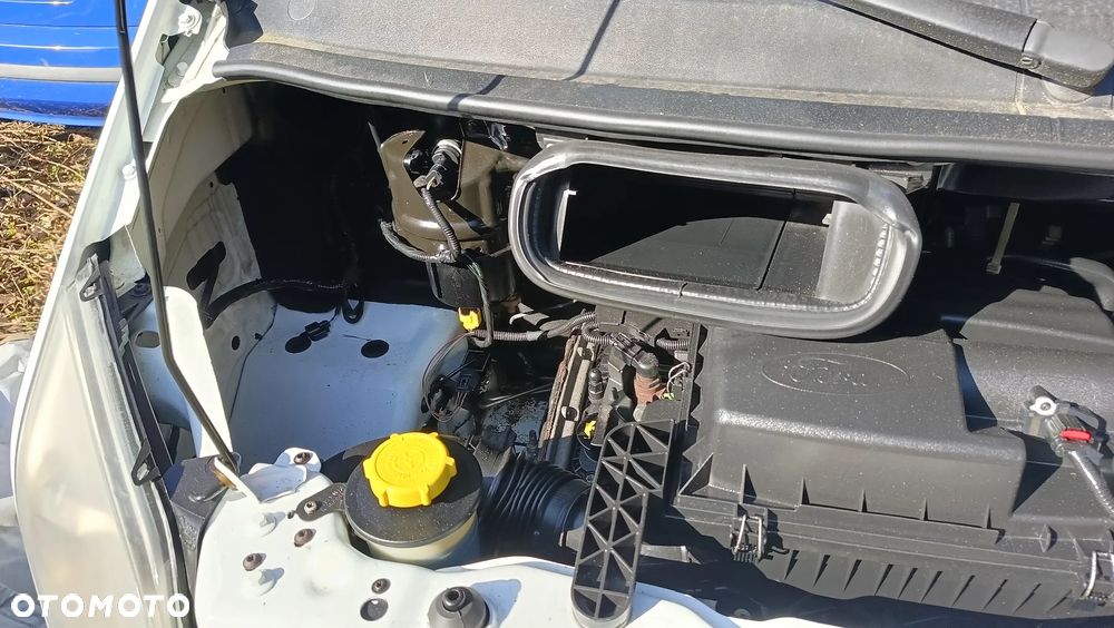 Ford Transit - 18