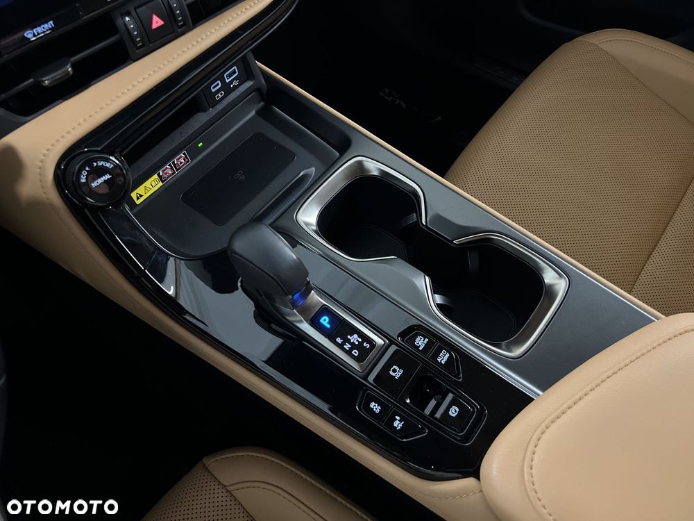 Lexus NX - 29