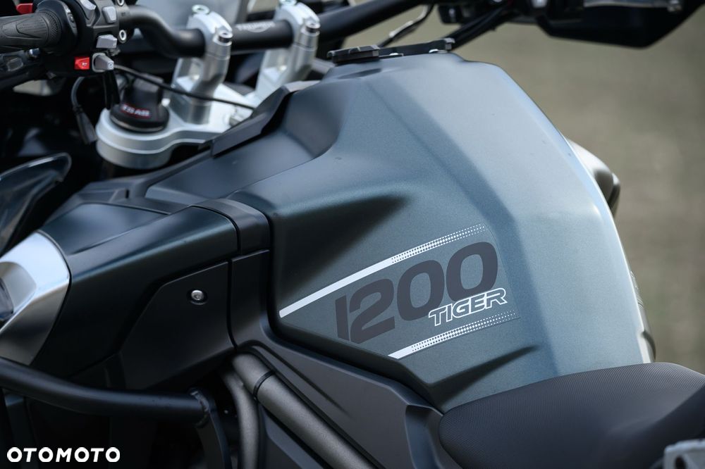 Triumph Tiger - 12