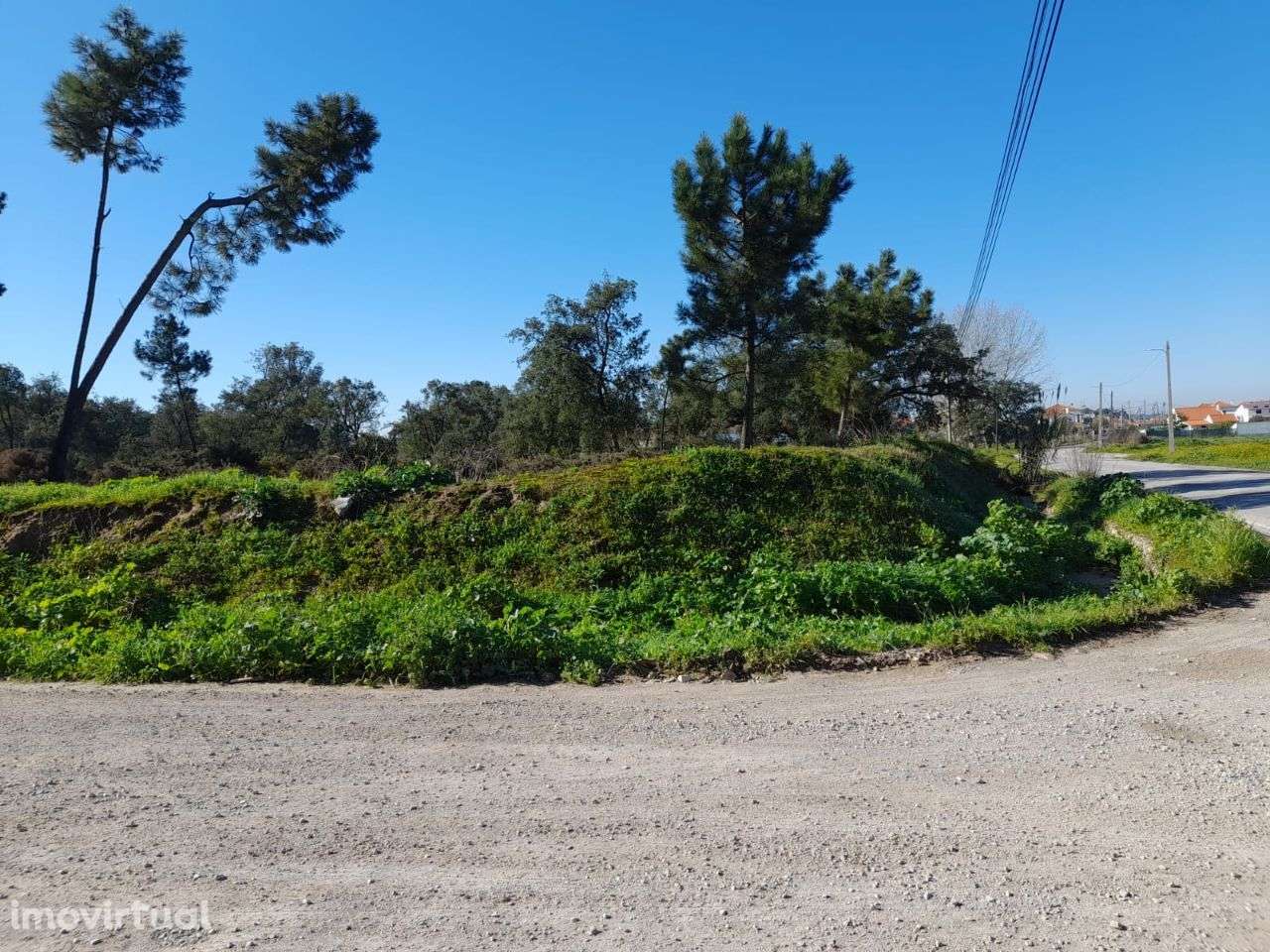 Azeitão Terreno com 10500 M2 de gaveto. - Grande imagem: 5/11