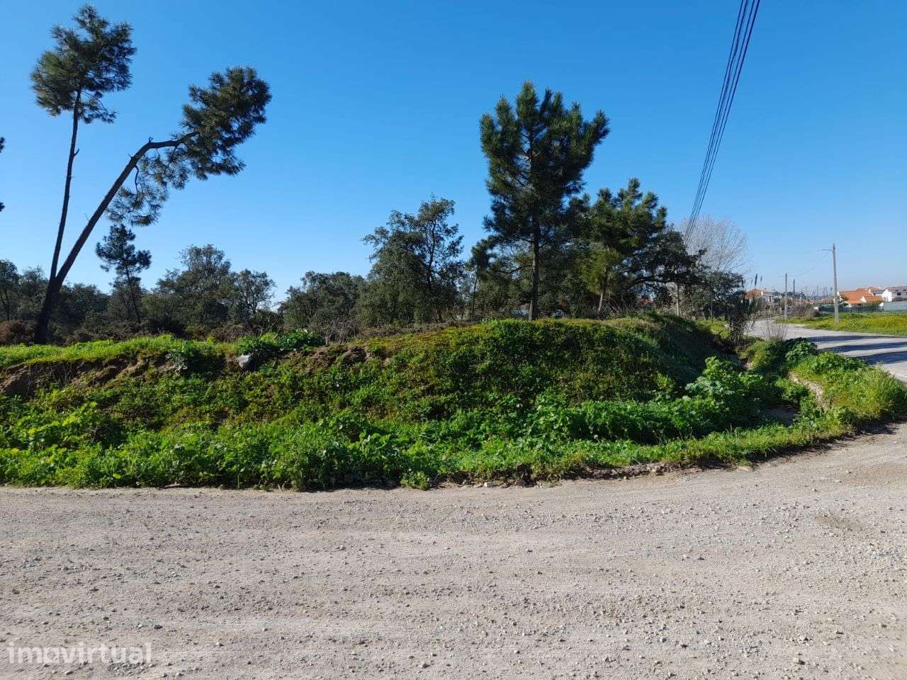 Azeitão Terreno com 10500 M2 de gaveto. - Grande imagem: 5/11