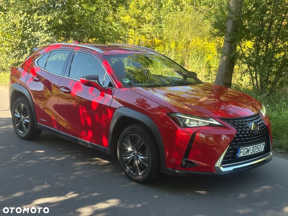 Lexus UX - 22