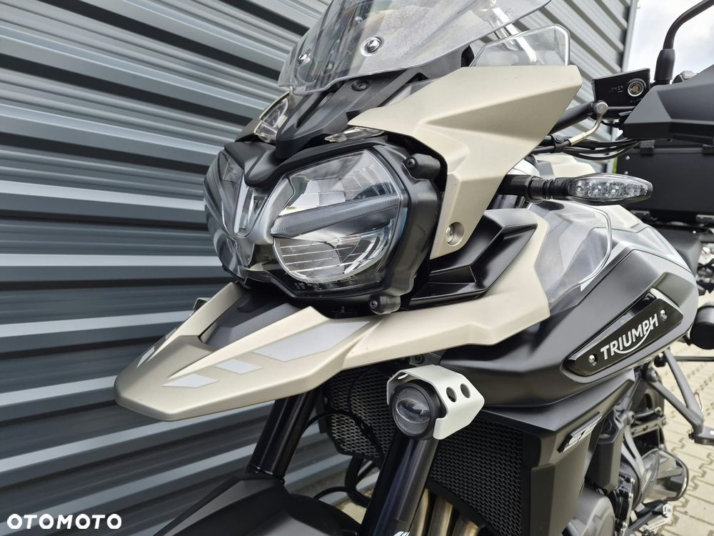 Triumph Tiger - 19