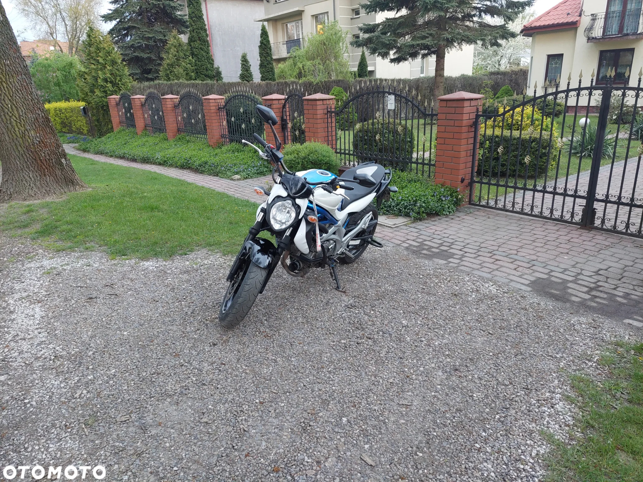Suzuki Gladius - 16
