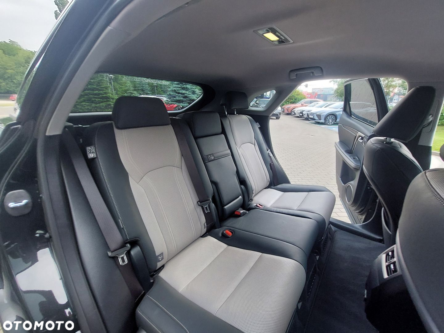 Lexus RX 450h F-Impression - 20