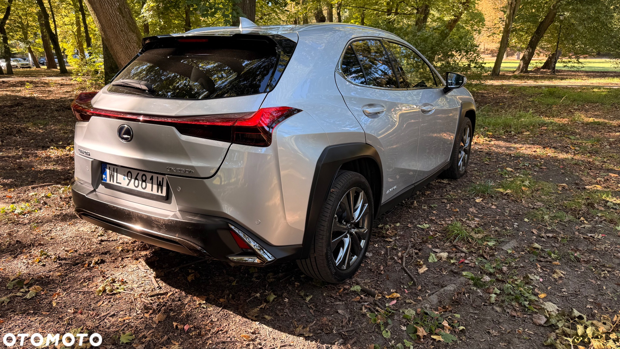 Lexus UX 250h GPF F Sport Edition 2WD - 5