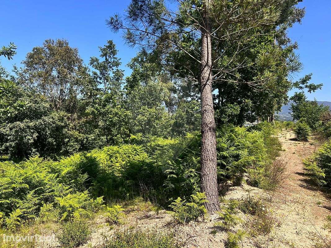 Terreno  para venda - Grande imagem: 4/8