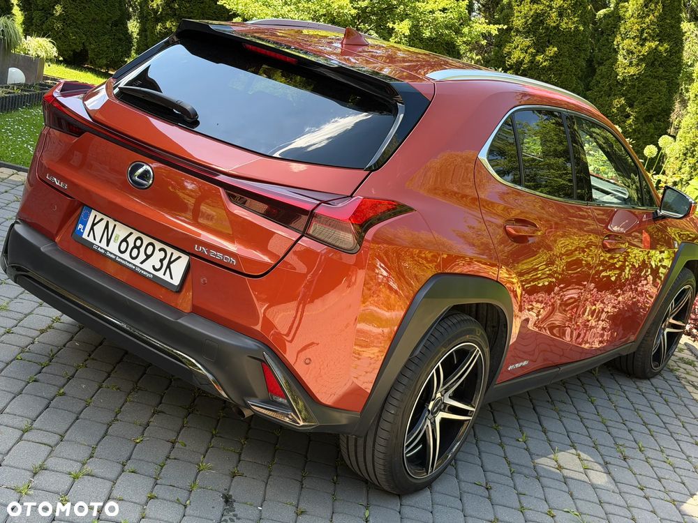 Lexus UX 250h GPF F Sport AWD - 24