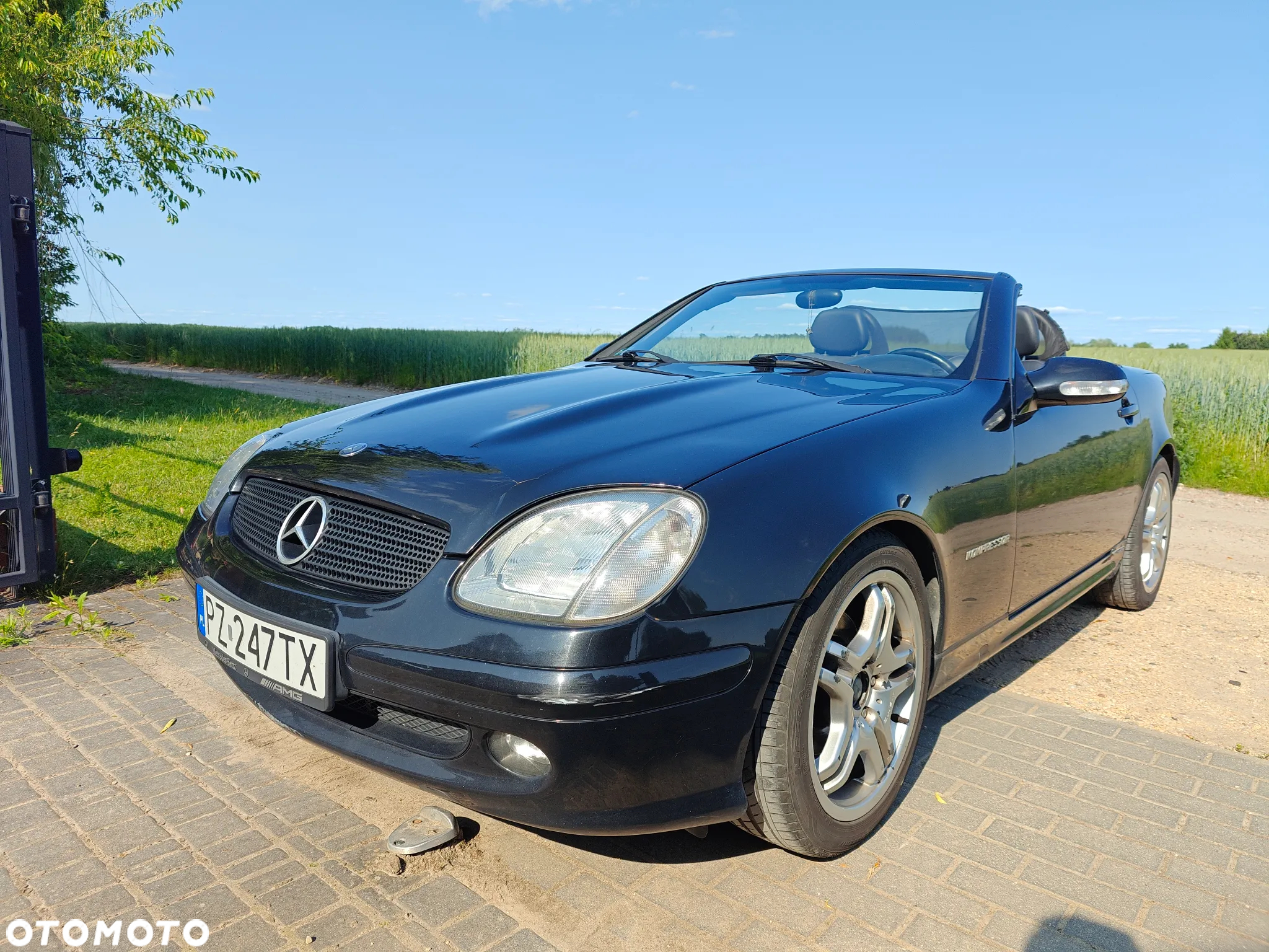 Mercedes-Benz SLK 230 Kompressor - 8