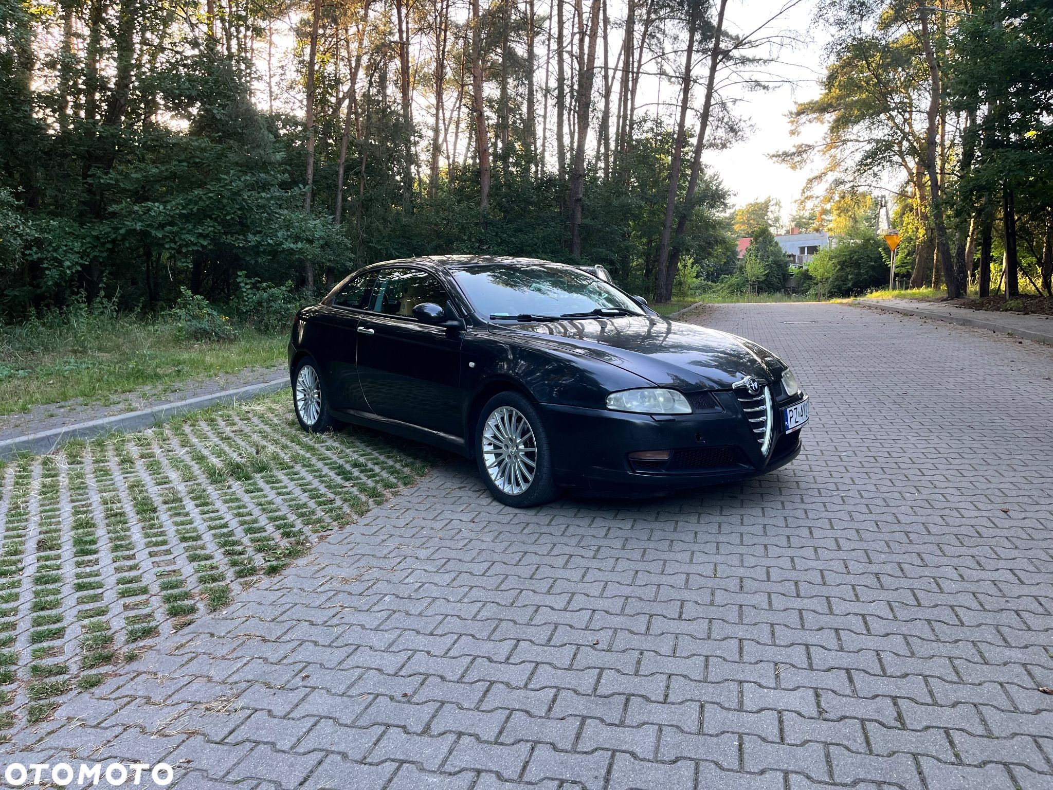 Alfa Romeo GT - 1