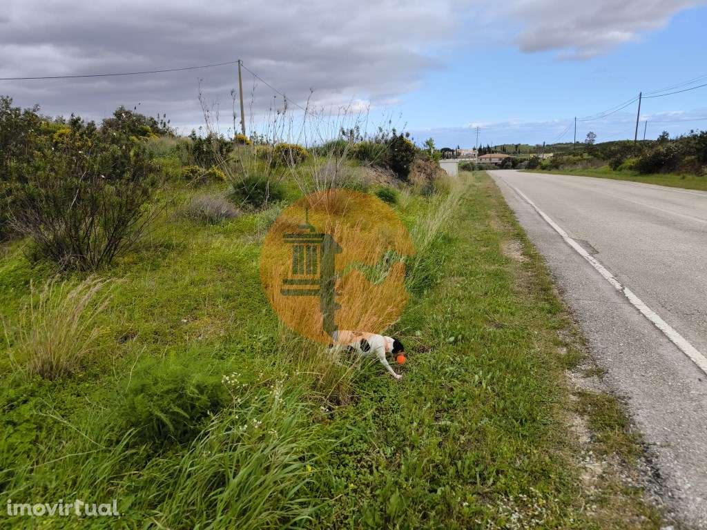 TERRENO RUSTICO COM 1.6 HECTARES - PRÓXIMO A ELETRICIDADE - PRÓXIMO... - Grande imagem: 5/28