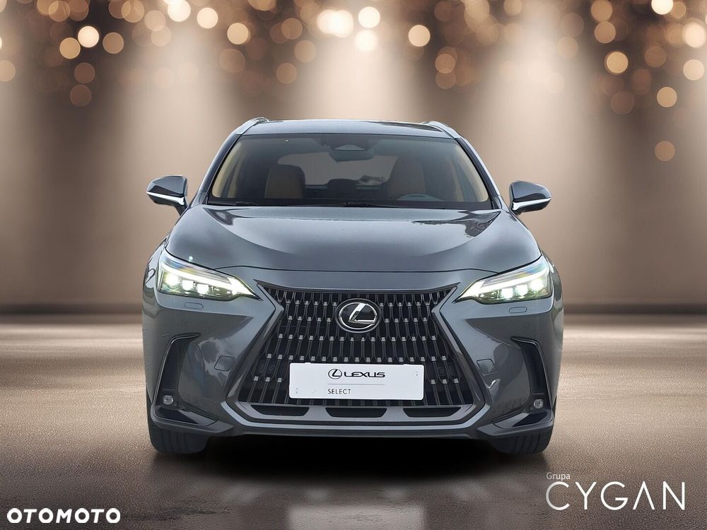 Lexus NX - 10