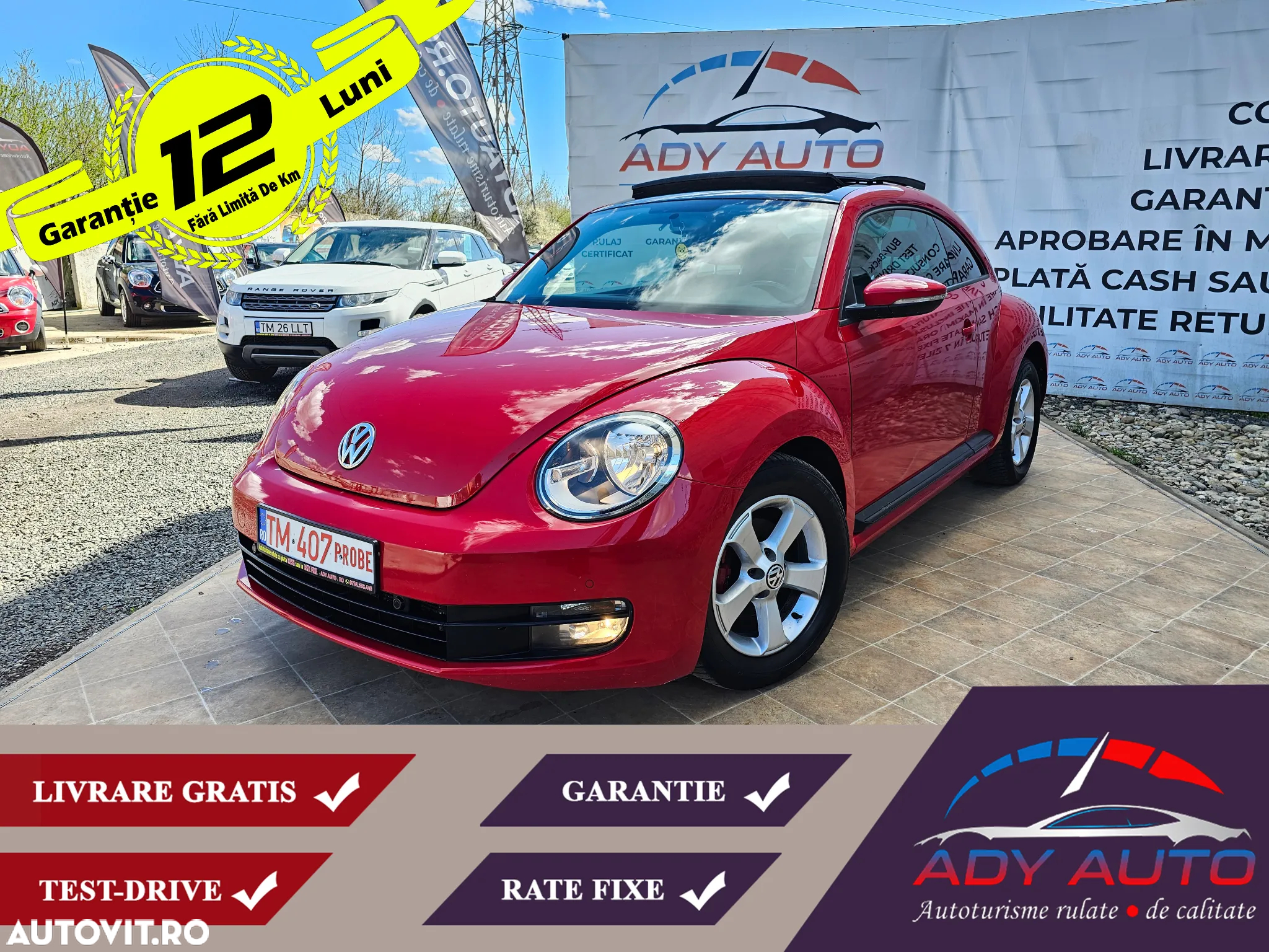 Volkswagen Beetle - 3