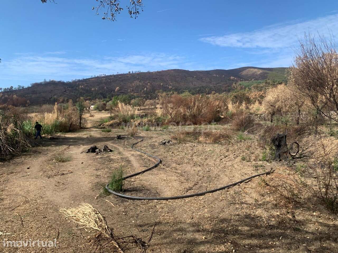 Terreno / Fundão, Freixial - Grande imagem: 4/4