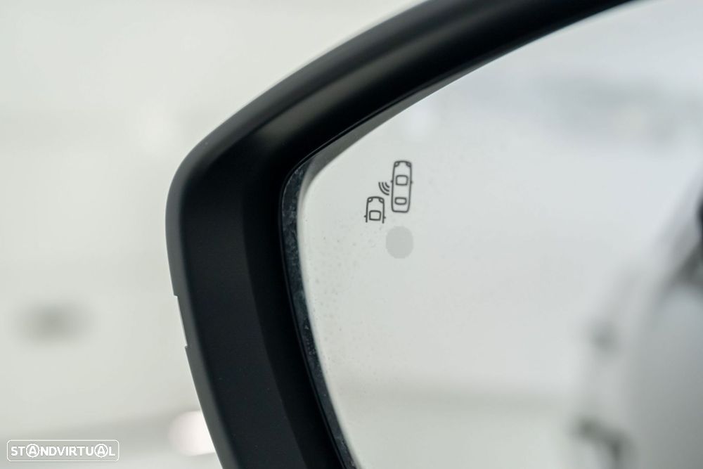 DS DS3 Crossback 1.5 BlueHDi Rivoli EAT8 - 21