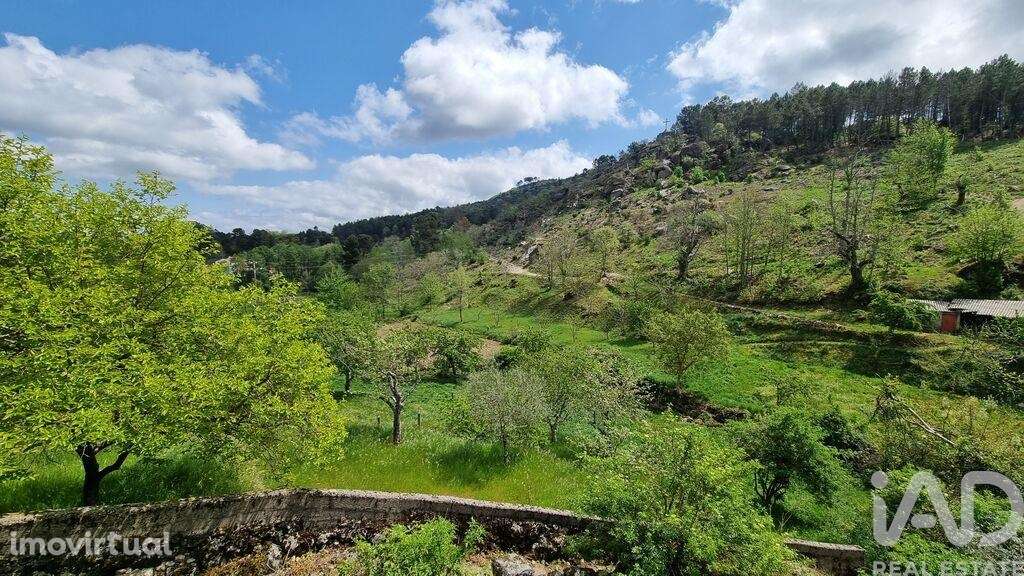 Casa / Villa T2 em Prados - Grande imagem: 5/18