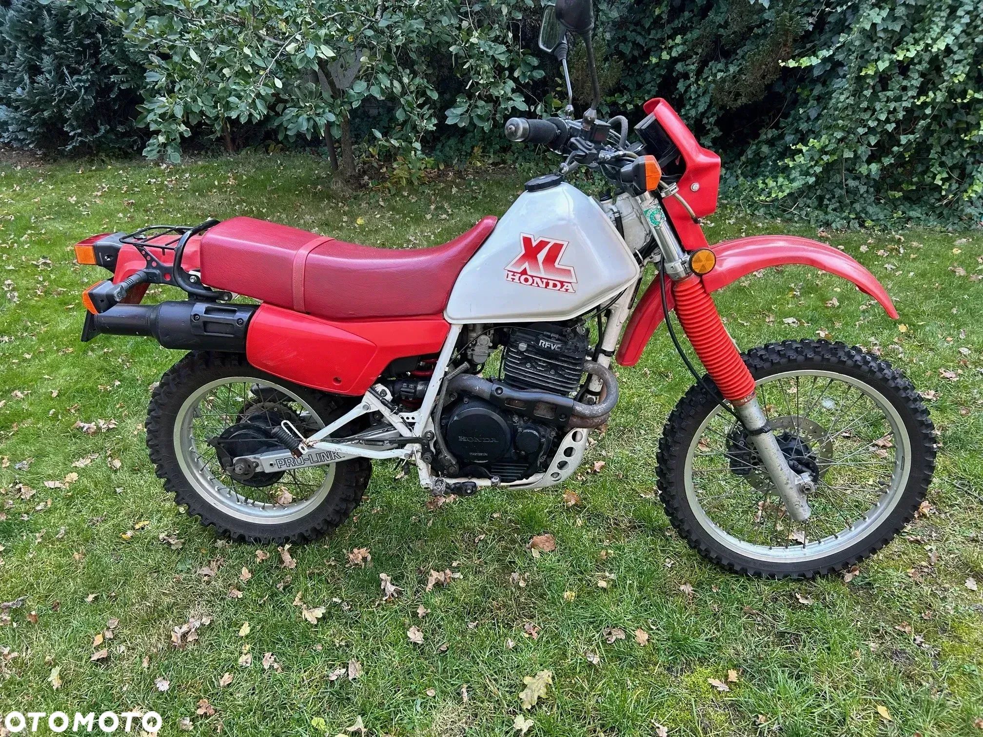 Honda XL