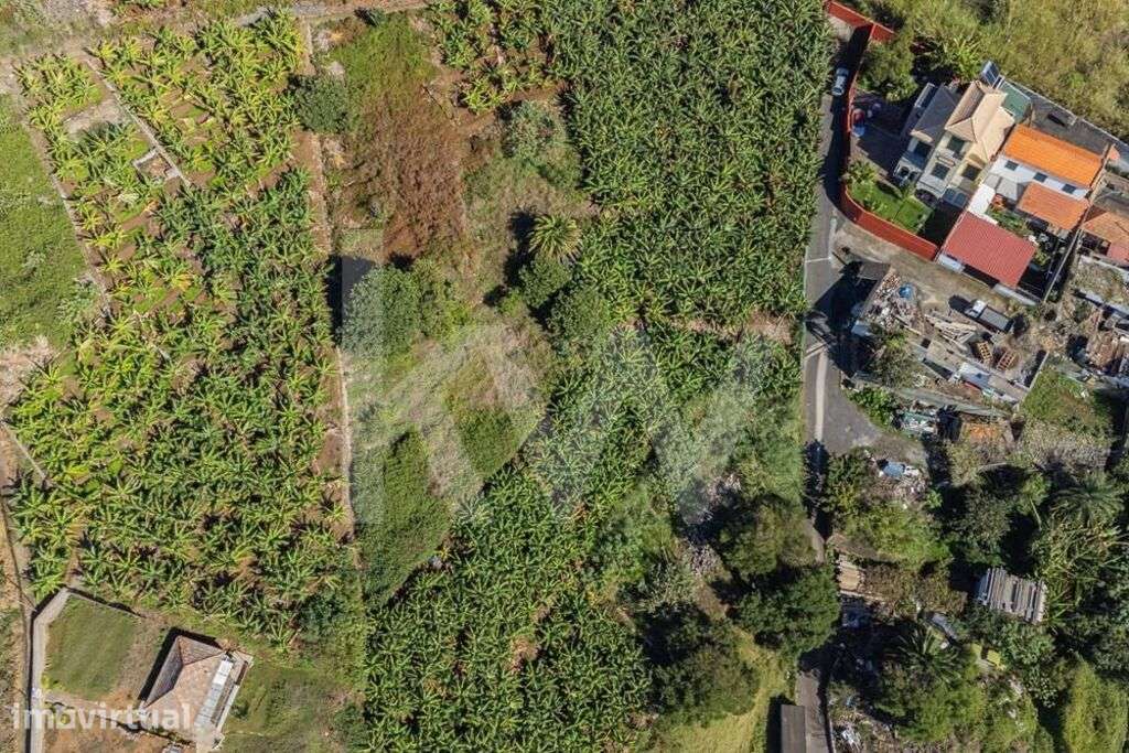 Terreno Urbanizável - 800m2 - São Martinho | Funchal - Grande imagem: 3/21