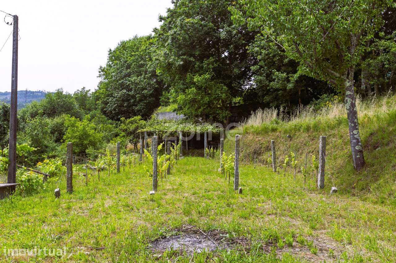 Moradia + Terreno com Horizonte Verde a Perder de Vista | Penafiel