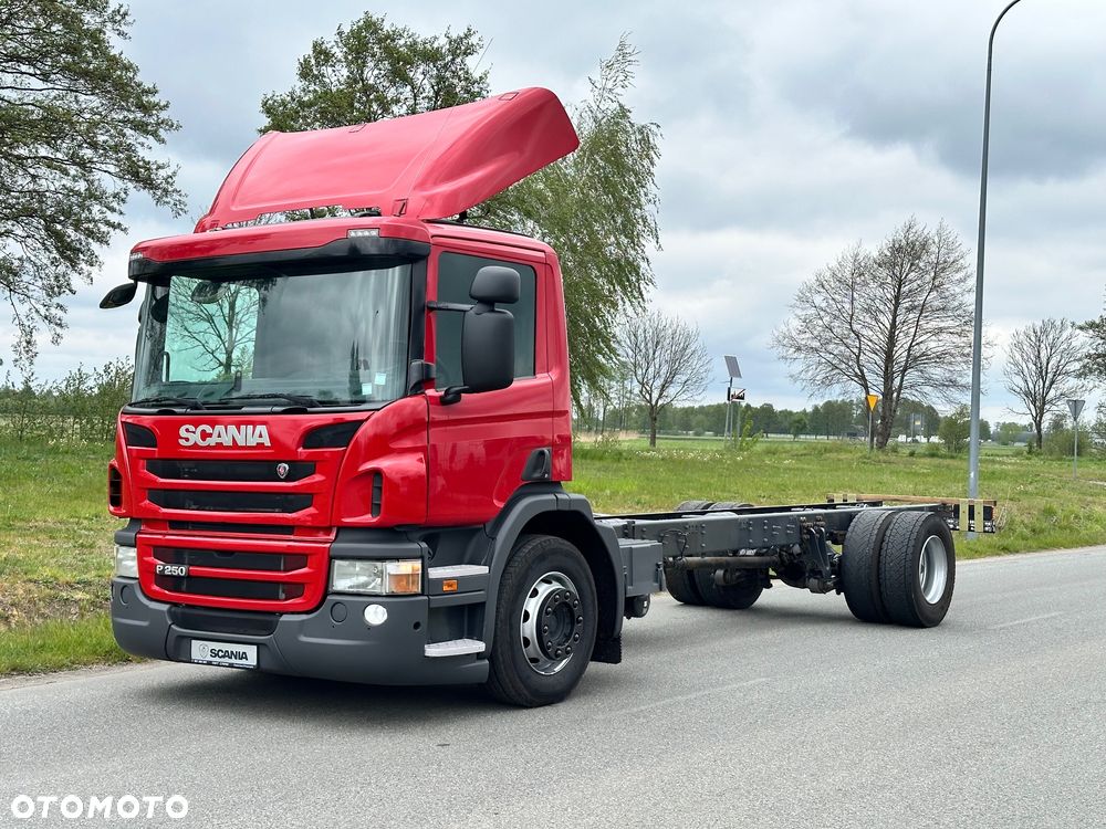 Scania P250 4x2 euro6 rama do zabudowy - 1