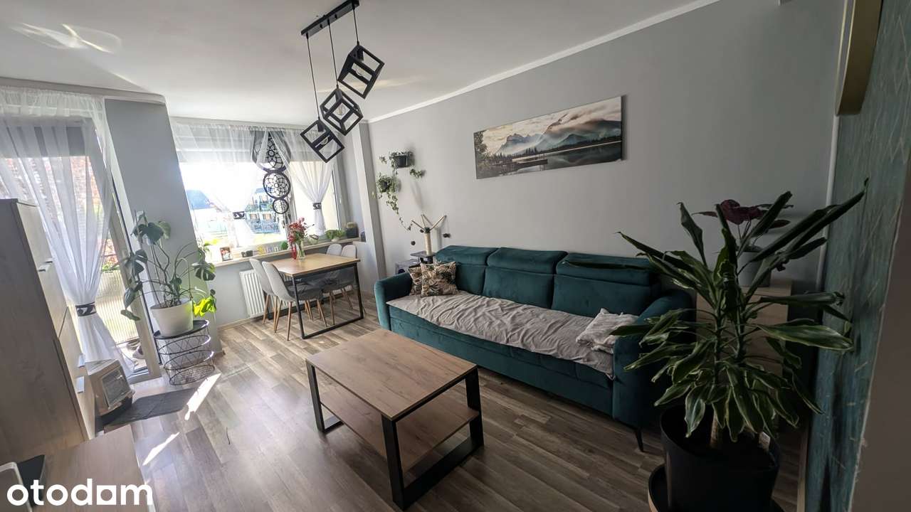 3 pokoje | parter | po remoncie | gotowe do zamieszkania