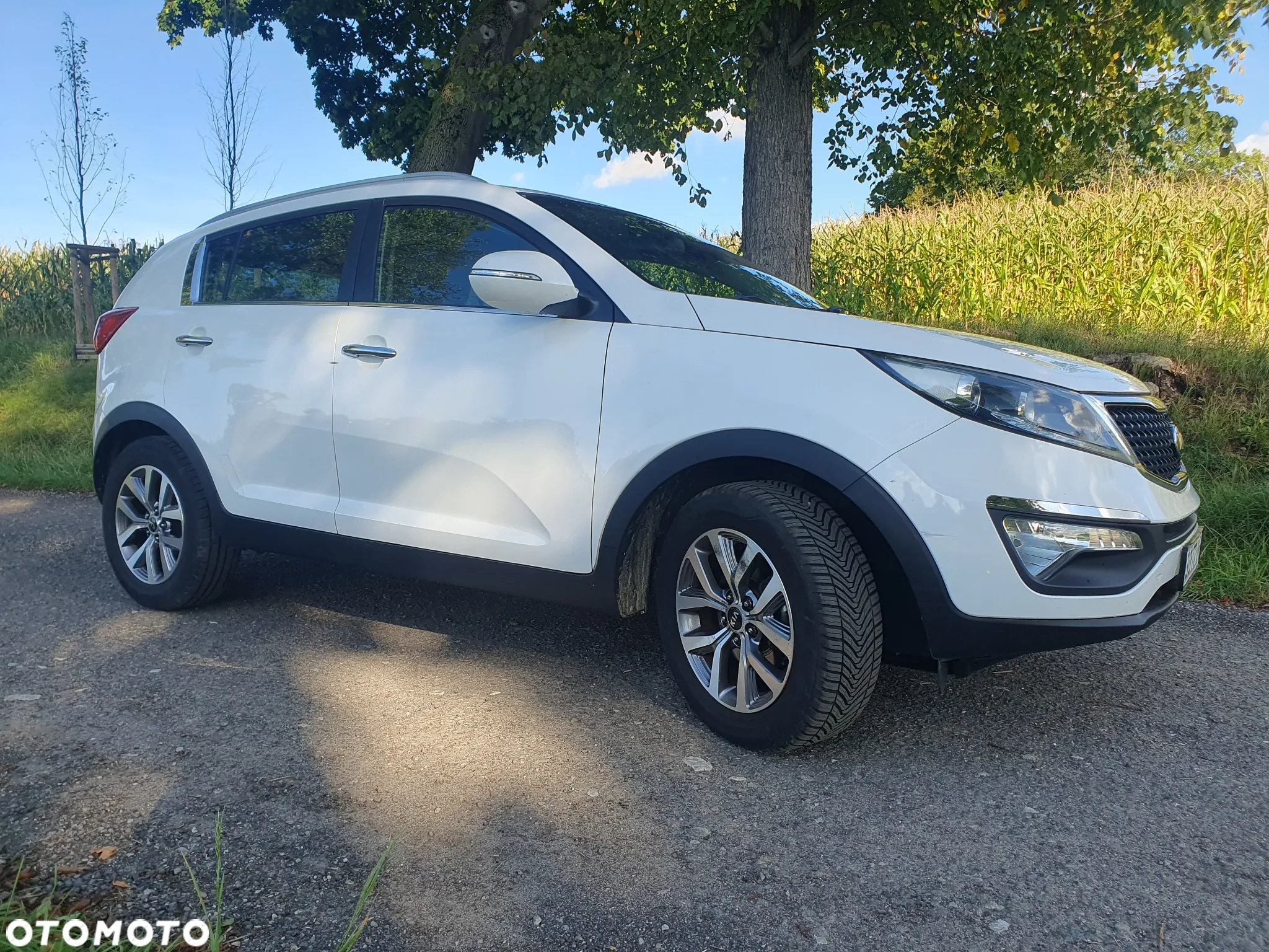 Kia Sportage 1.6 GDI Business Line 2WD - 26