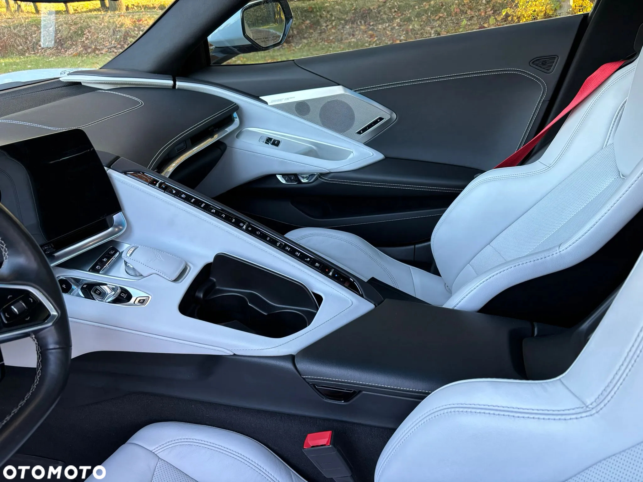 Chevrolet Corvette - 20