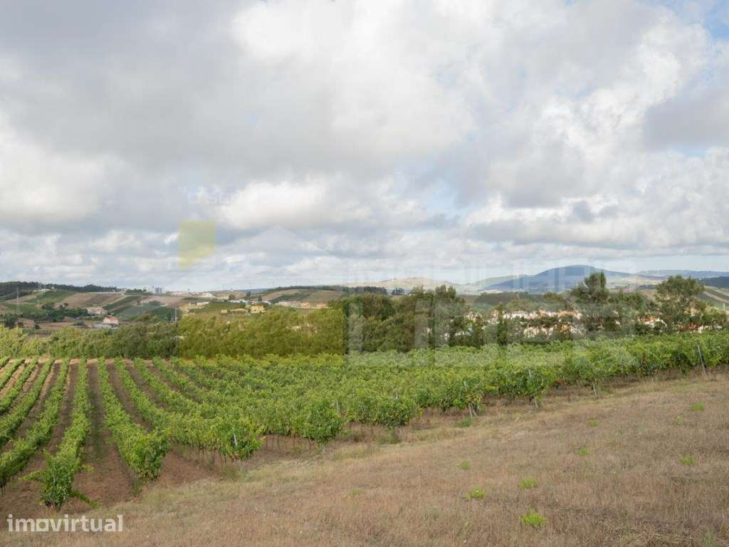 Terreno com 9.0000m² de área de Urbana em Casal do Vale- Freiria - Grande imagem: 2/15