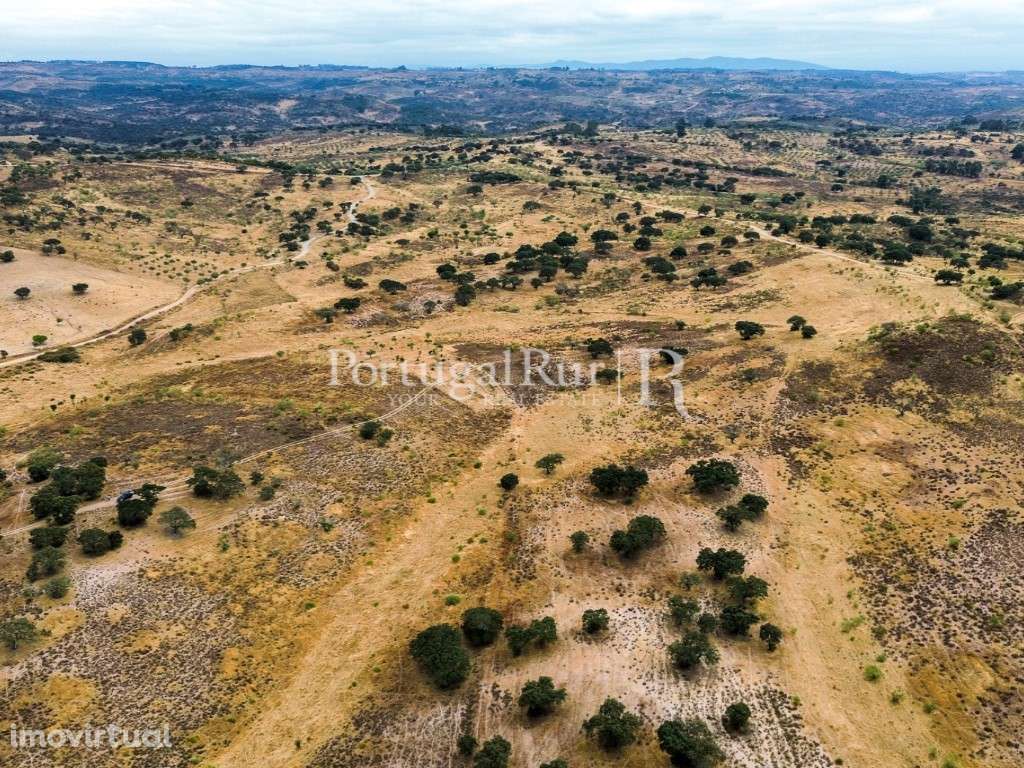 Propriedade agroflorestal 19,95 hectares em Idanha-a-Nova - Grande imagem: 2/31