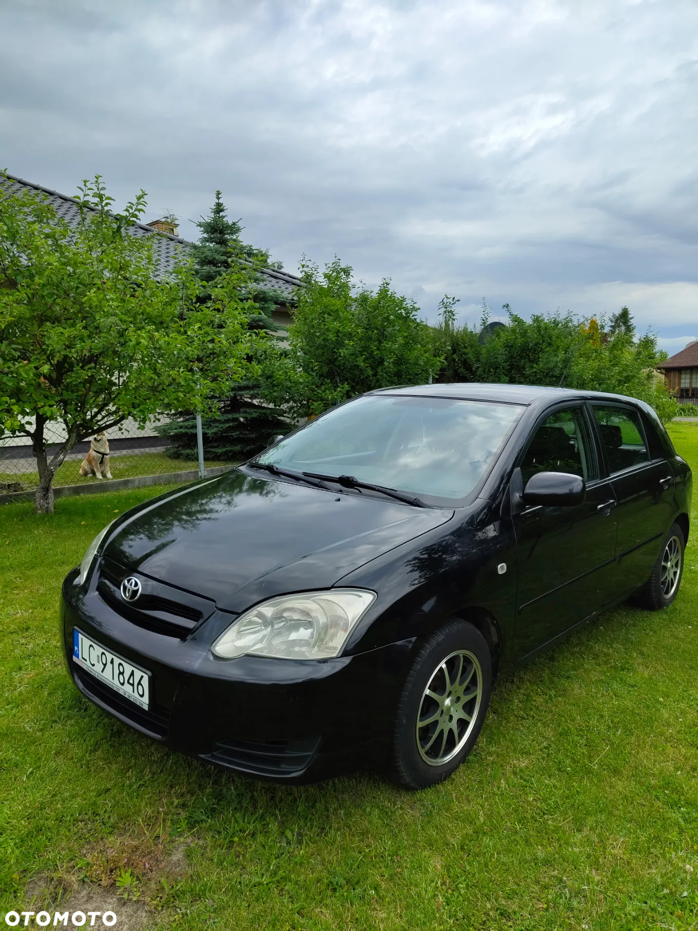 Toyota Corolla - 2