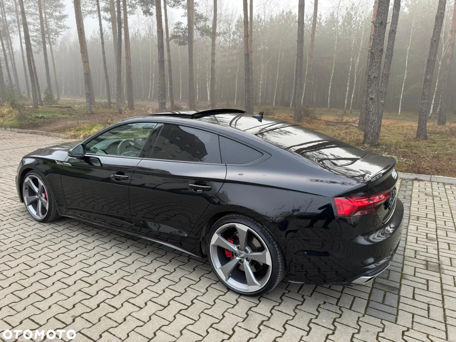 Audi A5 Sportback 3.0 TDI quattro S tronic sport - 4