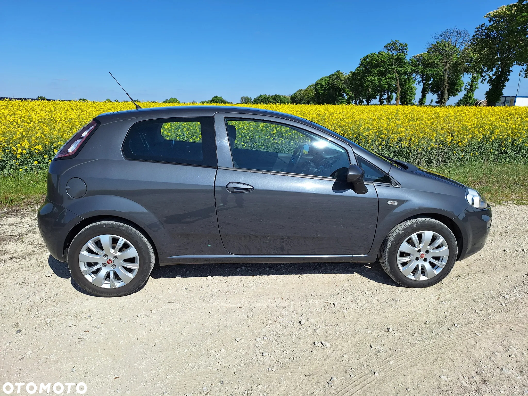 Fiat Punto Evo 1.2 8V Young II - 4