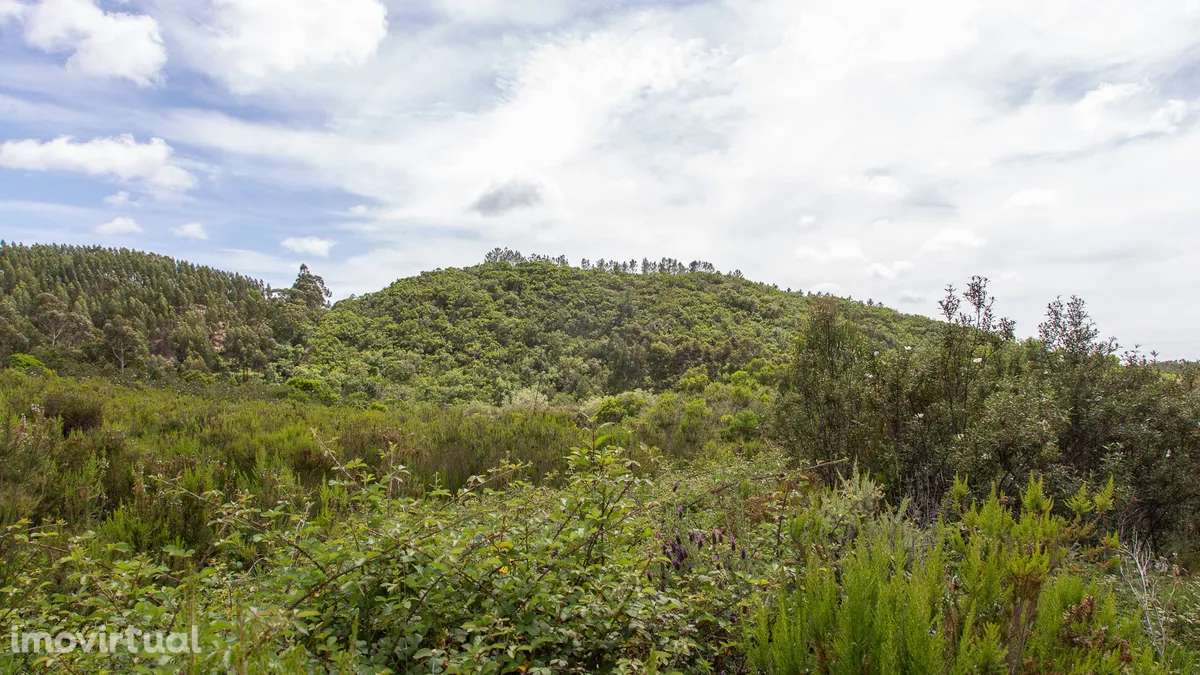 Terreno nas colinas de Carrascalinho com possibilidade de construção - Grande imagem: 2/4