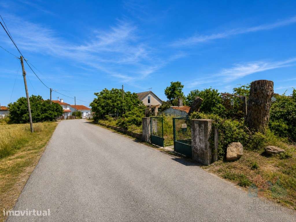 Quinta com 16 mil m2 em excelente localização - Tomar - Grande imagem: 2/19