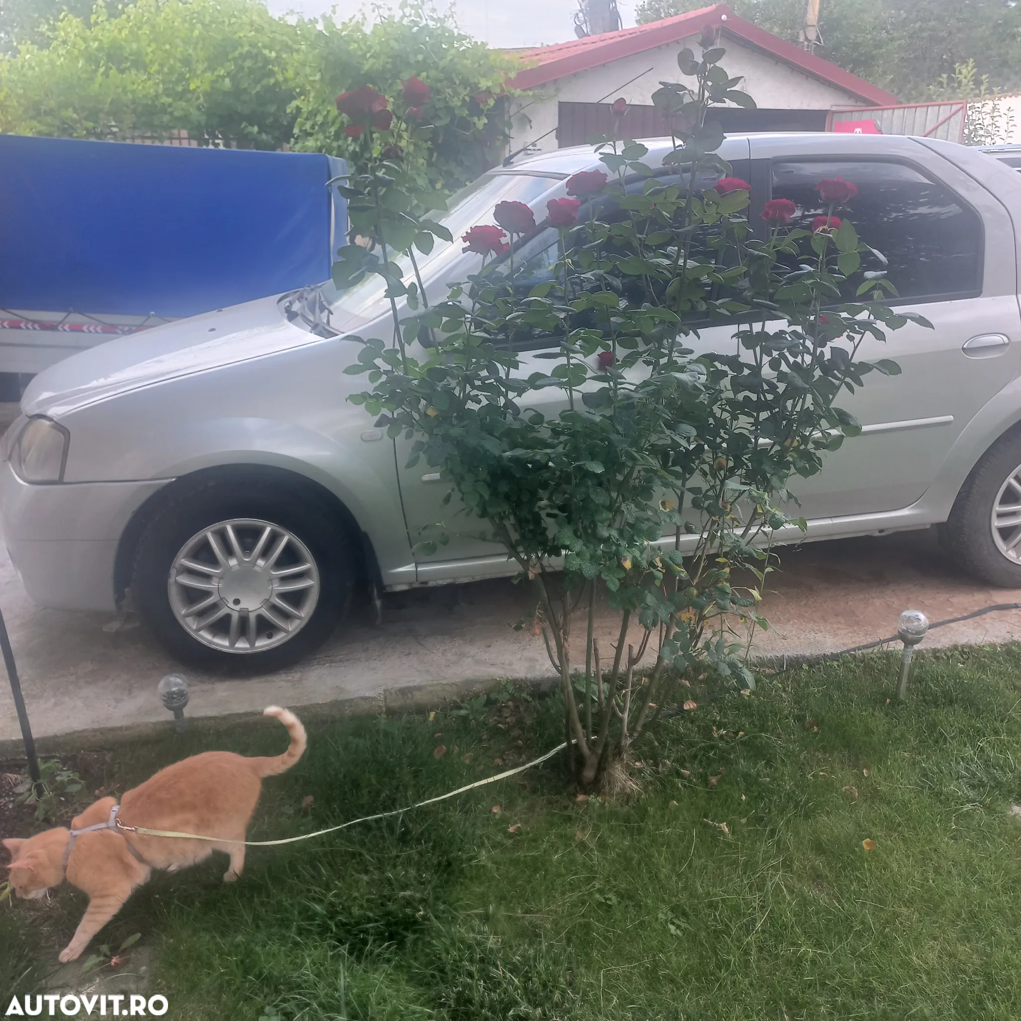 Dacia Logan 1.6 16V Prestige - 5