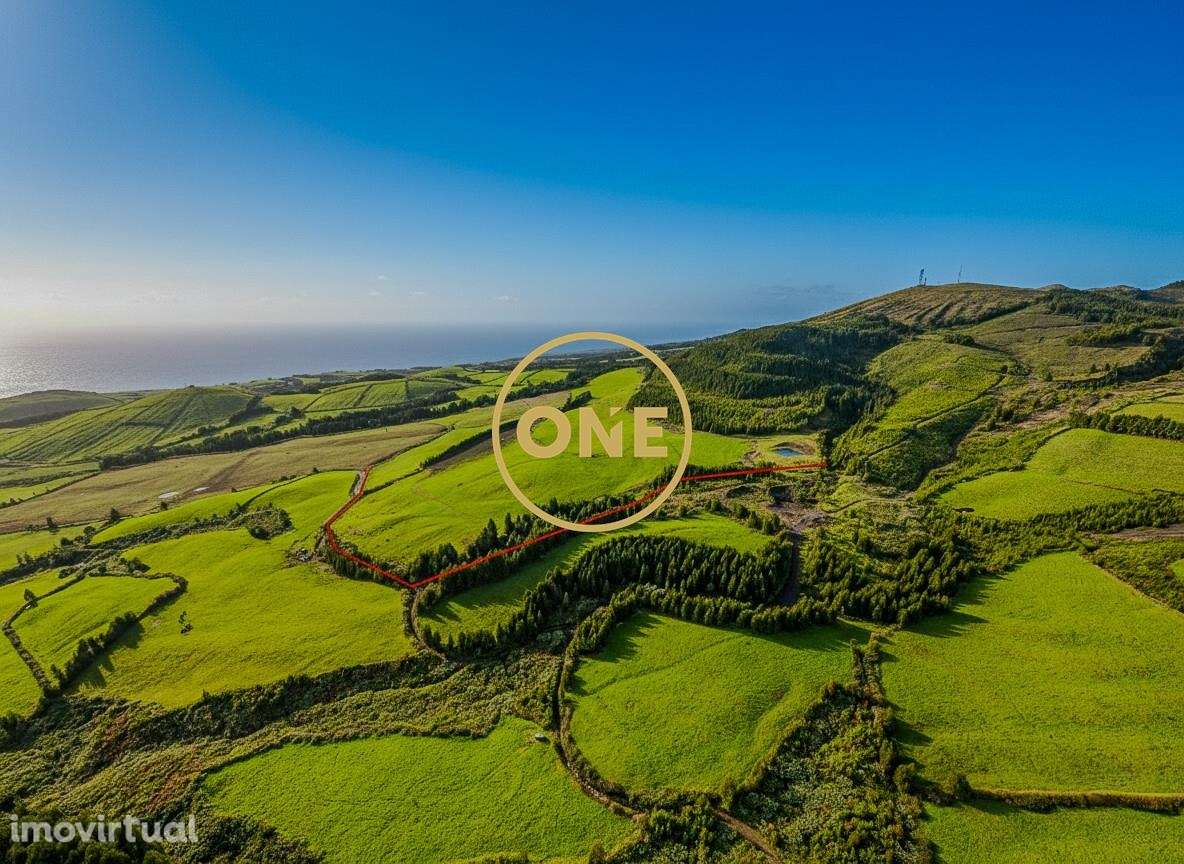 Terreno Premium na Relva - Grande imagem: 2/8