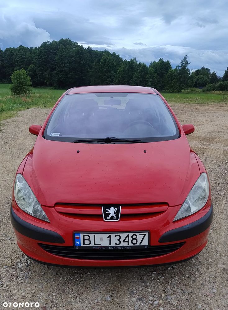 Peugeot 307 1.4 XR - 12