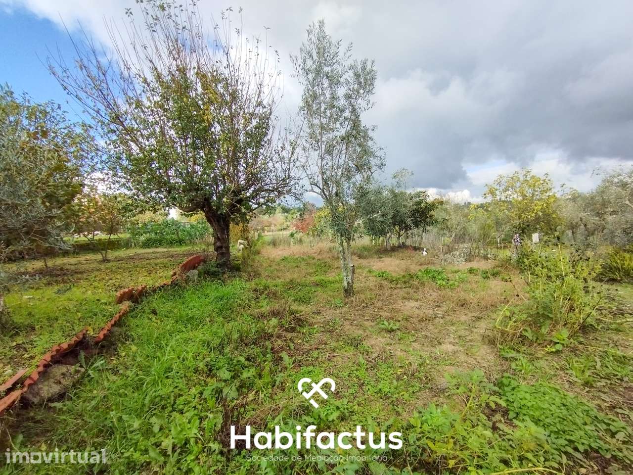 Terreno com Viabilidade de Construção – Paranhos da Beira, Seia - Grande imagem: 3/9