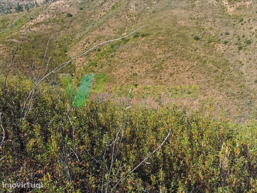 Terreno Rústico, Vista Deslumbrante para Barragem de Odelouca - Grande imagem: 3/12
