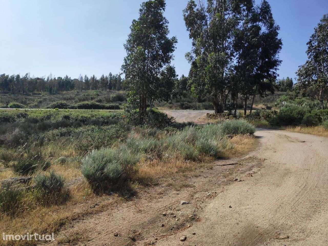 Fantástica Quinta com 3 Hectares - Grande imagem: 2/24