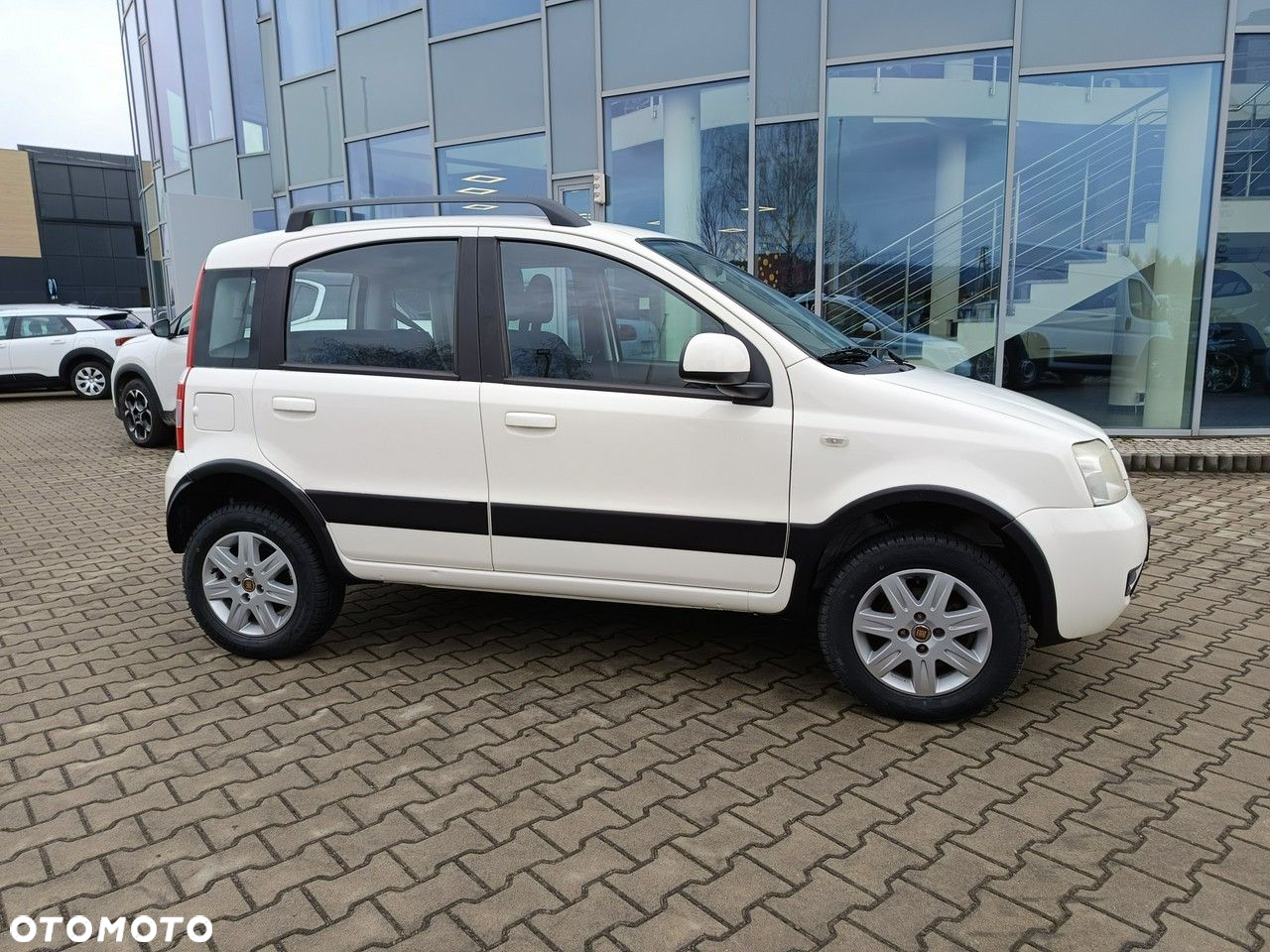 Fiat Panda 1.2 4x4 Climbing - 2