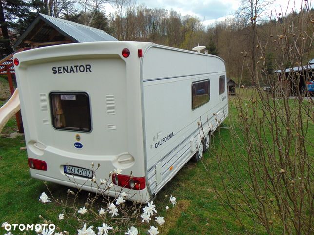 Bailey SENATOR - 7